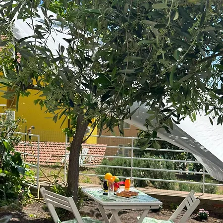 Villa Bellavista Savona Exterior foto